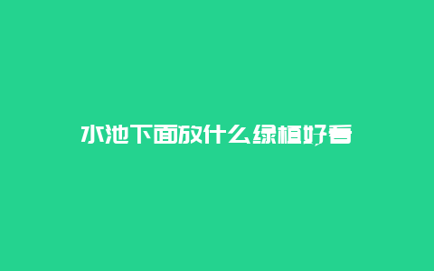 水池下面放什么绿植好看