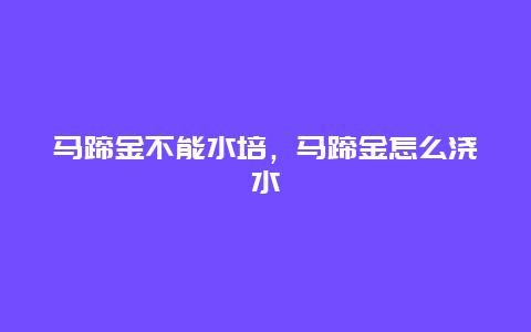 马蹄金不能水培，马蹄金怎么浇水