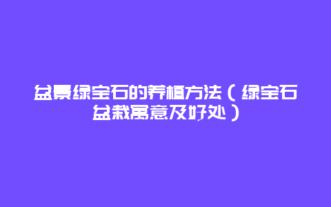 盆景绿宝石的养植方法（绿宝石盆栽寓意及好处）