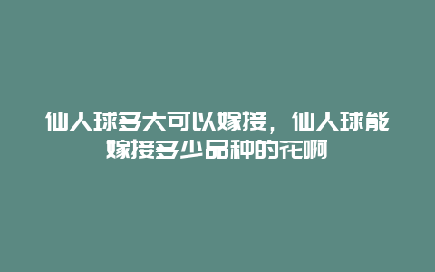 仙人球多大可以嫁接，仙人球能嫁接多少品种的花啊