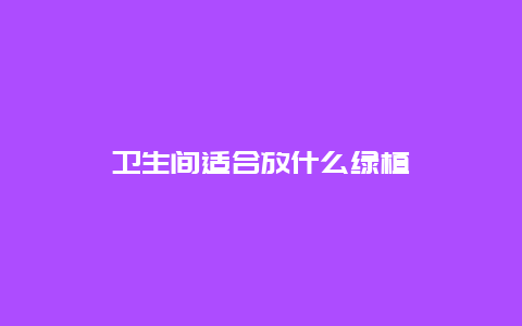 卫生间适合放什么绿植