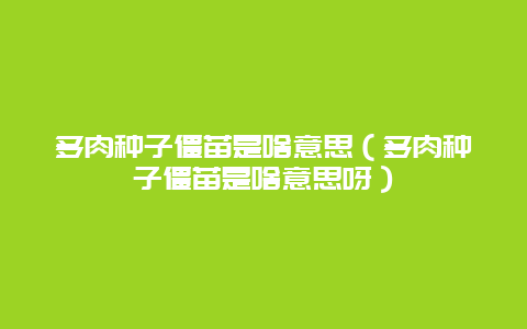 多肉种子僵苗是啥意思（多肉种子僵苗是啥意思呀）