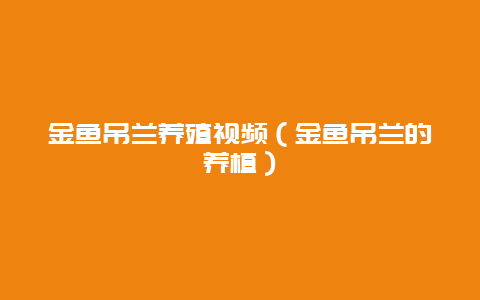 金鱼吊兰养殖视频（金鱼吊兰的养植）