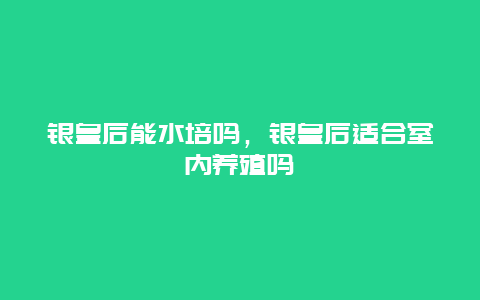 银皇后能水培吗，银皇后适合室内养殖吗