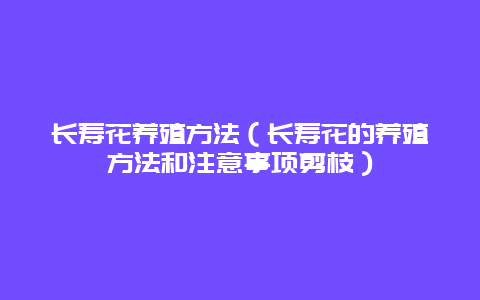 长寿花养殖方法（长寿花的养殖方法和注意事项剪枝）