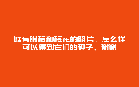 谁有腊梅和梅花的照片。怎么样可以得到它们的种子，谢谢