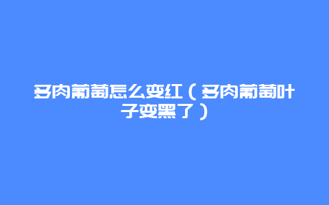 多肉葡萄怎么变红（多肉葡萄叶子变黑了）