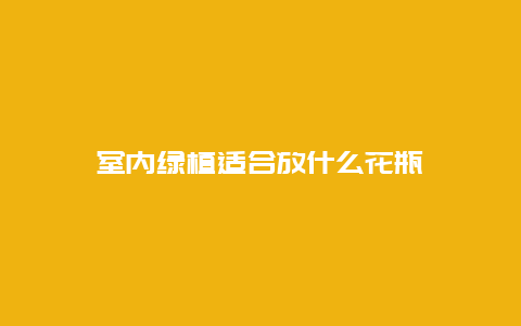 室内绿植适合放什么花瓶