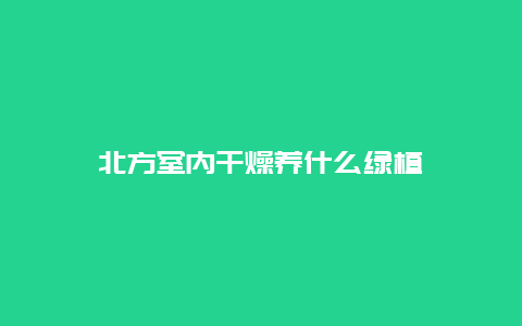 北方室内干燥养什么绿植