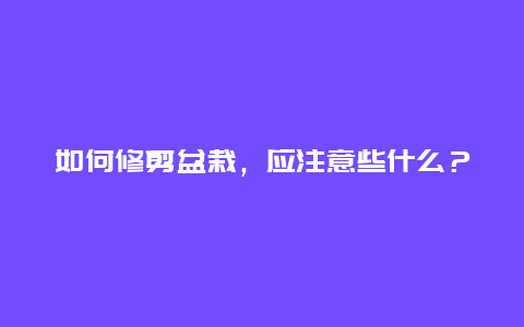 如何修剪盆栽，应注意些什么？