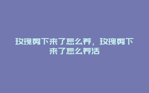 玫瑰剪下来了怎么养，玫瑰剪下来了怎么养活