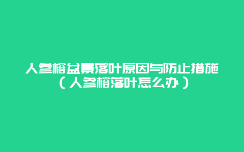 人参榕盆景落叶原因与防止措施（人参榕落叶怎么办）