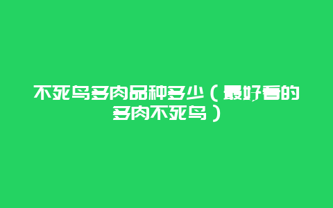 不死鸟多肉品种多少（最好看的多肉不死鸟）