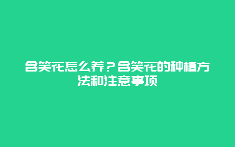 含笑花怎么养？含笑花的种植方法和注意事项