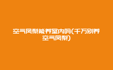 空气凤梨能养室内吗(千万别养空气凤梨)