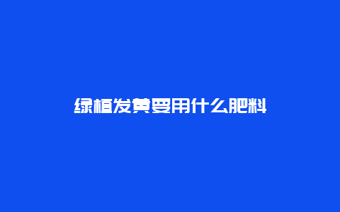 绿植发黄要用什么肥料