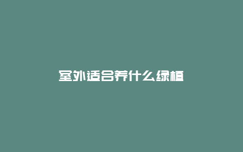 室外适合养什么绿植