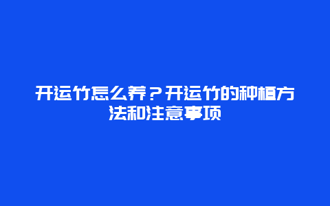 开运竹怎么养？开运竹的种植方法和注意事项