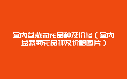 室内盆栽菊花品种及价格（室内盆栽菊花品种及价格图片）