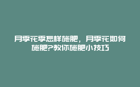 月季花季怎样施肥，月季花如何施肥?教你施肥小技巧