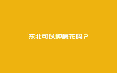 东北可以种梅花吗？