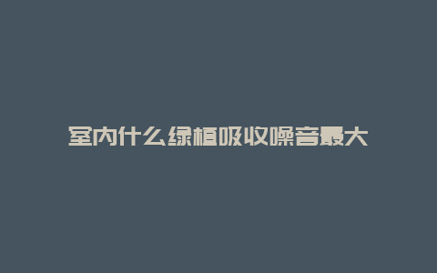 室内什么绿植吸收噪音最大