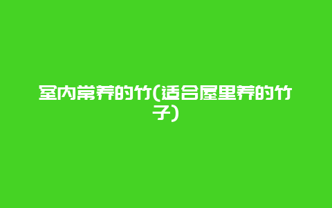 室内常养的竹(适合屋里养的竹子)