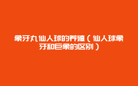 象牙丸仙人球的养殖（仙人球象牙和巨象的区别）