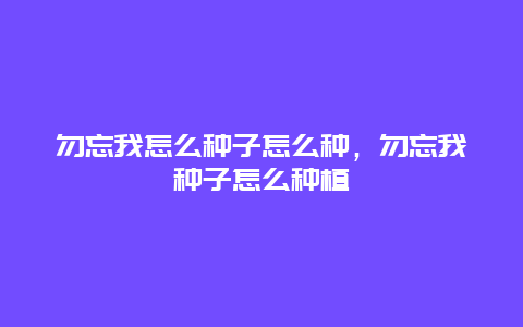 勿忘我怎么种子怎么种，勿忘我种子怎么种植