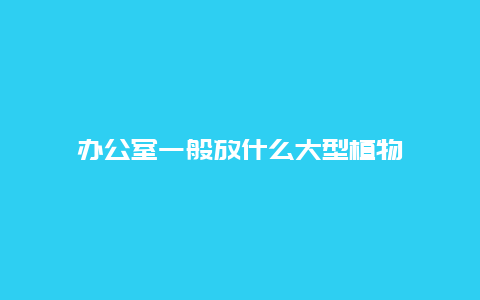 办公室一般放什么大型植物