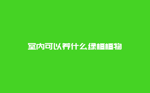 室内可以养什么绿植植物