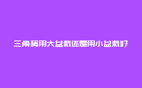 三角梅用大盆栽还是用小盆栽好