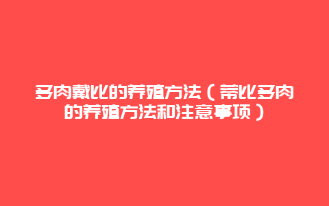 多肉戴比的养殖方法（蒂比多肉的养殖方法和注意事项）