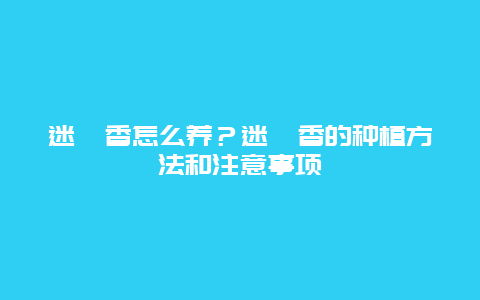 迷迭香怎么养？迷迭香的种植方法和注意事项