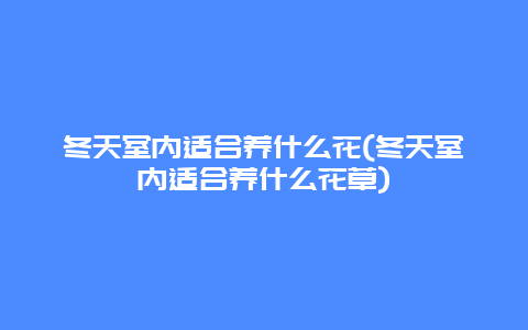 冬天室内适合养什么花(冬天室内适合养什么花草)