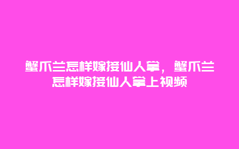 蟹爪兰怎样嫁接仙人掌，蟹爪兰怎样嫁接仙人掌上视频