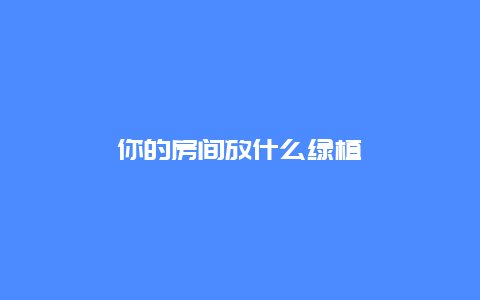 你的房间放什么绿植