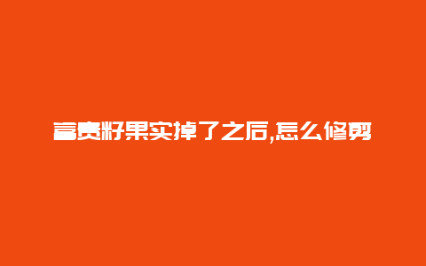 富贵籽果实掉了之后,怎么修剪