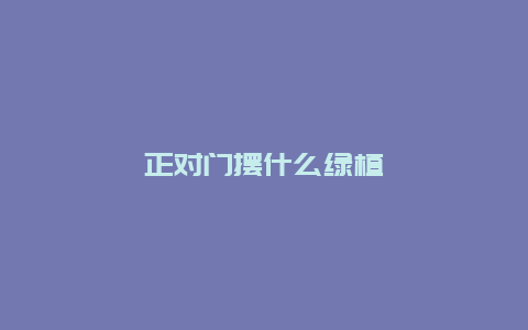 正对门摆什么绿植