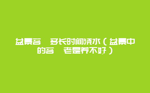 盆景苔藓多长时间浇水（盆景中的苔藓老是养不好）