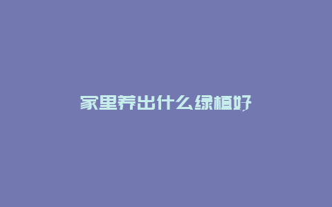 家里养出什么绿植好