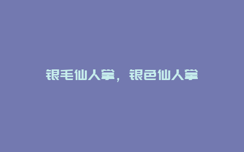 银毛仙人掌，银色仙人掌