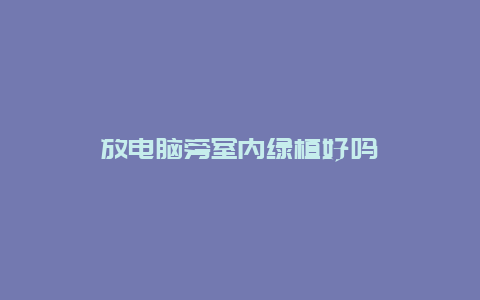 放电脑旁室内绿植好吗