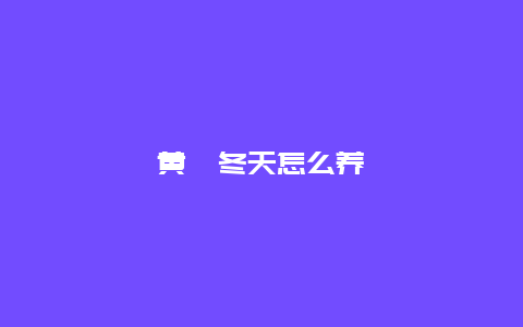 黄栌冬天怎么养