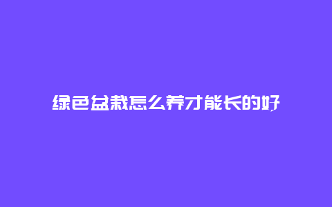 绿色盆栽怎么养才能长的好