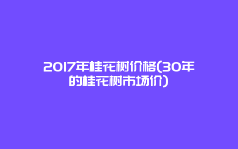 2017年桂花树价格(30年的桂花树市场价)