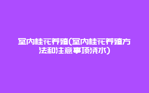 室内桂花养殖(室内桂花养殖方法和注意事项浇水)