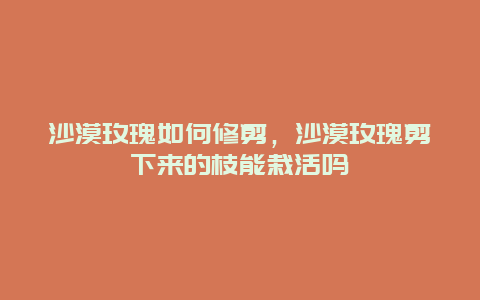 沙漠玫瑰如何修剪，沙漠玫瑰剪下来的枝能栽活吗