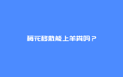 梅花移栽能上羊粪吗？