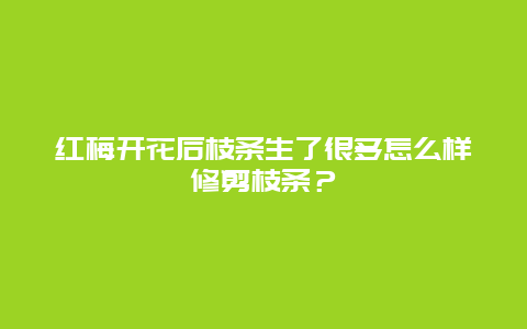 红梅开花后枝条生了很多怎么样修剪枝条？